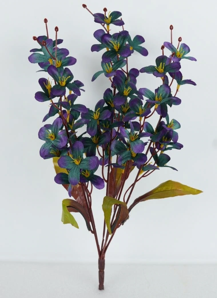 Orchid daisy bunch x 6